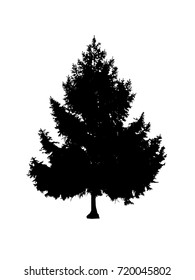Silhouette of pine tree. Hand made.