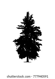 Silhouette of pine tree. Hand made.
