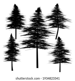 silhouette of a pine tree vector illustration