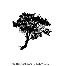 silhouette of a pine tree, tree - vector illustration