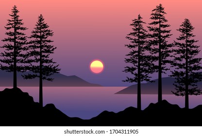 Silhouette of pine trees during sunset