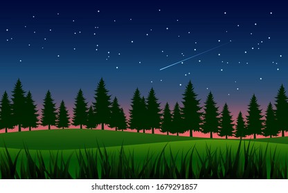 Silhouette von Kiefern auf Wiese mit Sternenhimmel
