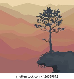 silhouette of pine trees on a cliff