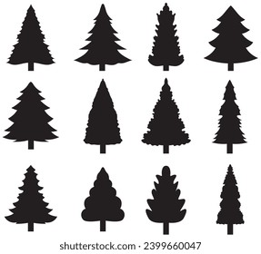 Silhouette of pine trees. Trees silhouettes