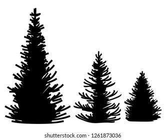 Silhouette of pine trees. Vector set of coniferous trees silhouettes