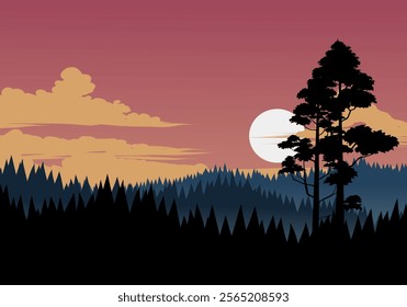 Silhouette of pine woodland on sunset