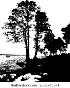 The silhouette of pines on sea shore or river shore. Black traced illustration.