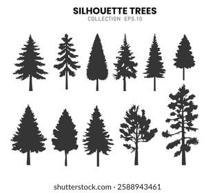 Silhouette pines trees collections.Pine trees silhouette.Vector illustration