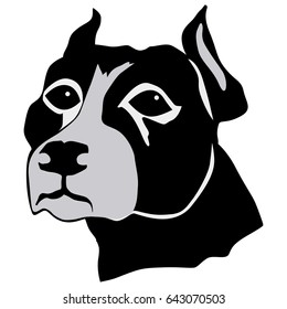 silhouette of pit bull