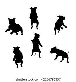 Silhouette of pitbull dog dynamic pose. vector set of the silhouette of hounds. black and white dog logo on white background.