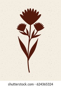 silhouette of plant
