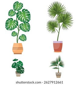 silhouette of plant , green plant silhouette