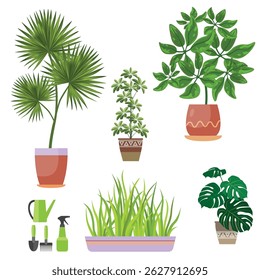 silhouette of plant , green plant silhouette