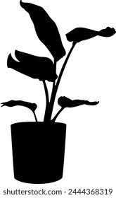 Silhouette plant in a pot vector on white background