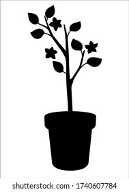 Silhouette of a plant - seedling in a pot. Small tree in flower pots - vector black silhouette for logo or pictogram. Sign or icon of a seedling in a flower pot. Gardening.