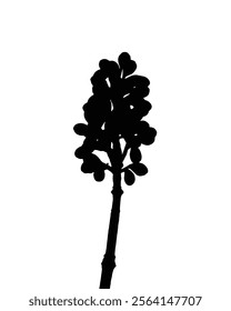 Silhouette of a plant stem with clustered buds vector, showcasing simple botanical elegance. Suitable for artistic uses, botanical illustrations, nature-inspired designs, or minimalist decor.