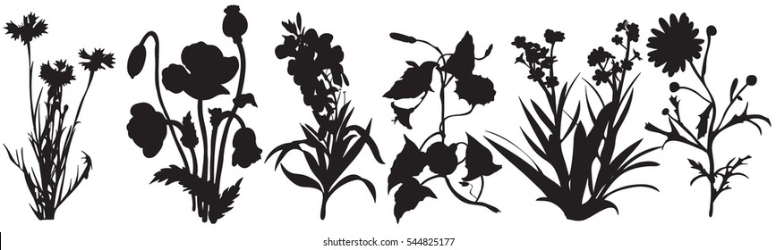  silhouette of plants and flowers