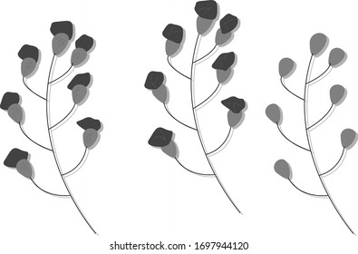 silhouette of plants on a white background.vector.