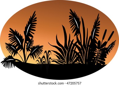 silhouette of plants in the sunset