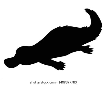 silhouette of platypus, motive of wildlife