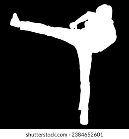 silhouette of a player kick attack