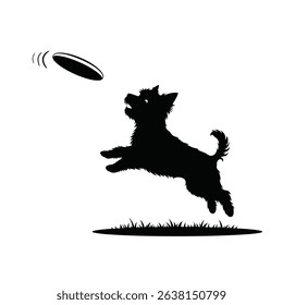 Silhouette: Playful Dog Jumping for Frisbee Mid-Air  Active Canine