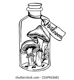 silhouette of poisonous mushrooms in bottle with label, jar with branch of leaves. one element. outline of oyster mushrooms. Mystical vintage vector illustration for print, internet, fabric. doodle