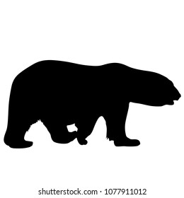 Silhouette polar bear on a white background
