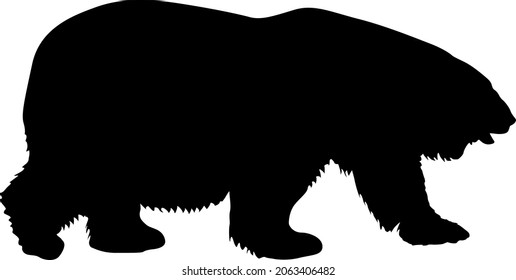 Silhouette polar bear on a white background.