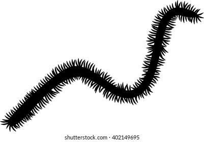 silhouette of polychaete