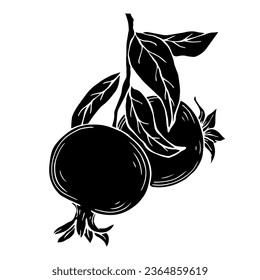 Silhouette of a pomegranate branch with fruits. Vector graphics.