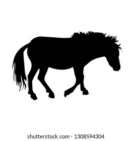 Silhouette of a pony. Close-up. Pony grazing in the meadow. Pony with a long mane. Isolated vector illustration. Black drawing on white background.