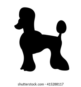 Silhouette of poodle isolated on white background. Funny dog. Vector illustration. Eps 10. 