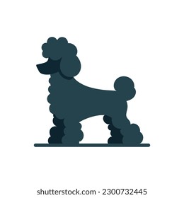 Silhouette of a poodle on white background.