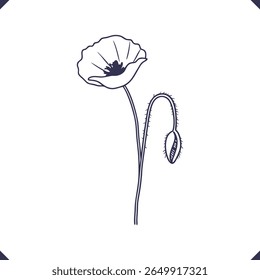Silhouette of a poppy with delicate, slightly crumpled petals and a curved, slender stem
