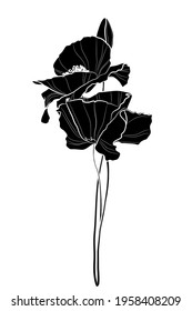 Silhouette of poppy flowers. Black and white illustration. Vector.