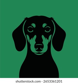 Retrato de silhueta de um cão dachshund, vista frontal, em um fundo verde.
