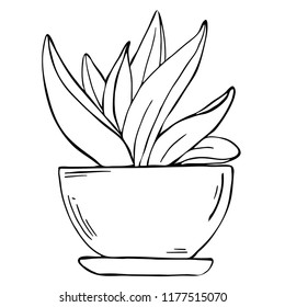 Silhouette pot succulent plant isolated on white background. Cartoon ink sketch. Hand drawn vector illustration.