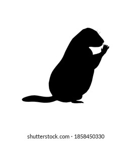 Silhouette Prairie Dog On White Background