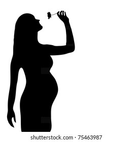 Silhouette of the pregnant girl smelling flower