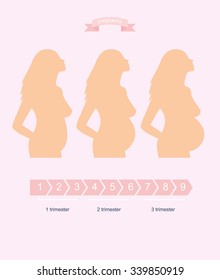Silhouette of a pregnant woman in the three trimesters.