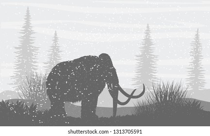 Silhouette. Prehistoric mammoth on a snowy plain. Snowfall. Coniferous trees ate on the horizon. Extinct animals. Realistic Vector Landscape