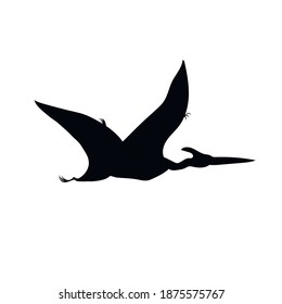 Silhouette Of Pterodactyl, Vector Illustration