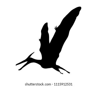 Silhouette Pterosaur dinosaur jurassic prehistoric animal