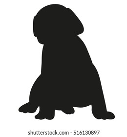 silhouette puppy sitting, dog