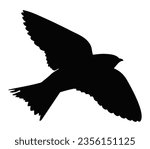 Silhouette of the purple martin.