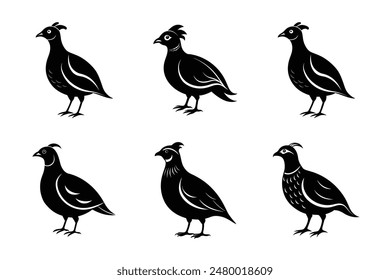 silhouette Quail white background Vector illustration   