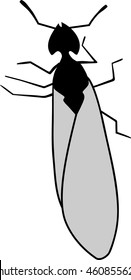 Silhouette of Queen ant