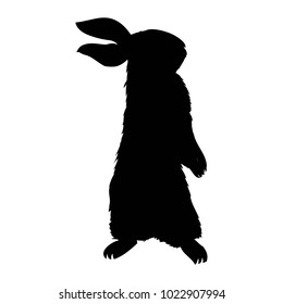 Silhouette rabbit, vector illustration