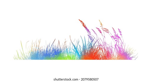 Silhouette of Rainbow grass. Vector illustration